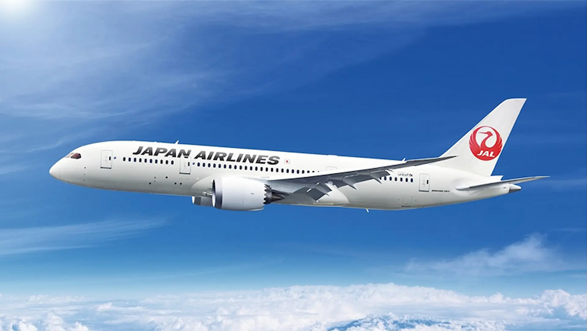 Japan Airlines Plane Flying
