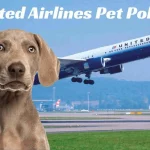 Pet flying with United Airlines