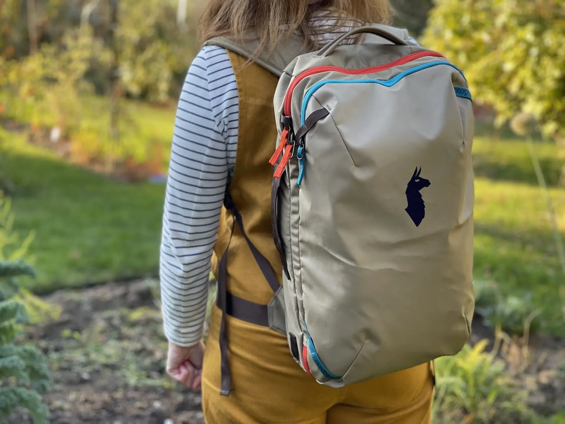 Cotopaxi Allpa 28L Travel Pack