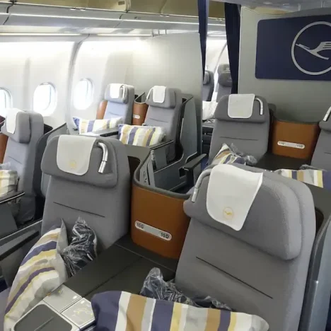 United Premium Plus vs Delta Premium- Which Premium Economy Is Better?