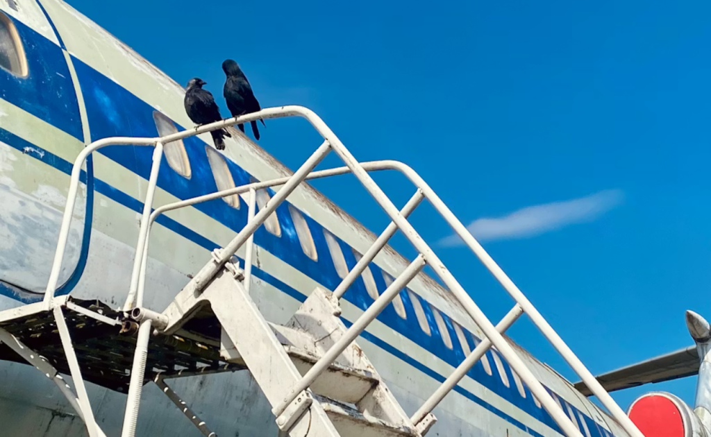 Airplane boarding stairs on the tarmac with aircraft in the background, representing airport security and screening programs such as TSA PreCheck, Global Entry, and CLEAR.