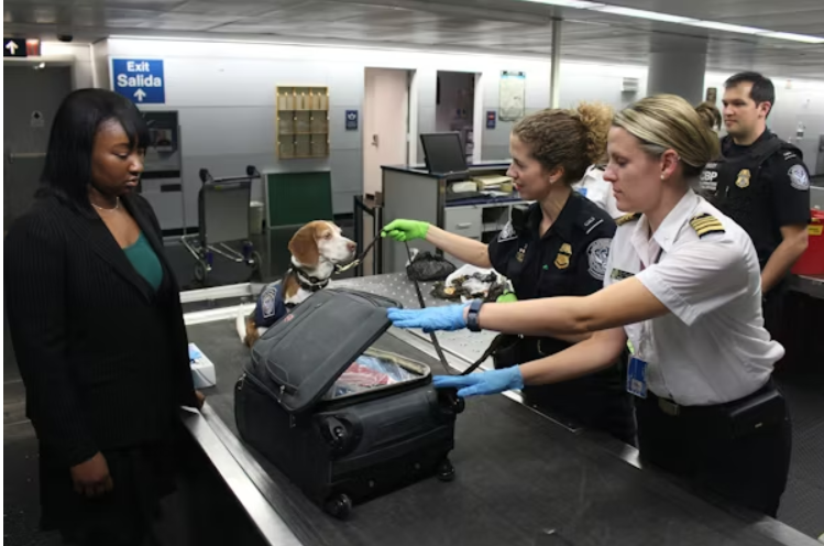 Airport security officers inspecting a passenger’s suitcase with a detection dog at a baggage screening checkpoint
