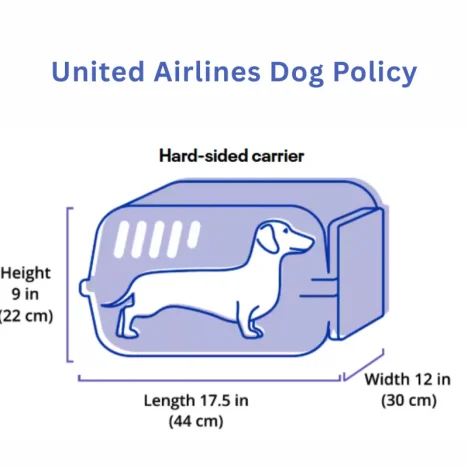 How to Beat Jet Lag: 12 Scientifically Proven Methods for 2026