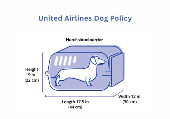 Diagram showing United Airlines in-cabin dog carrier size requirements.