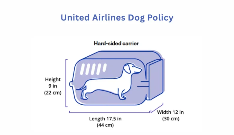 Diagram showing United Airlines in-cabin dog carrier size requirements.