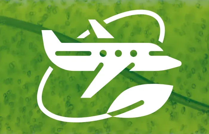 Sustainable Aviation Fuel vs Carbon Offsets