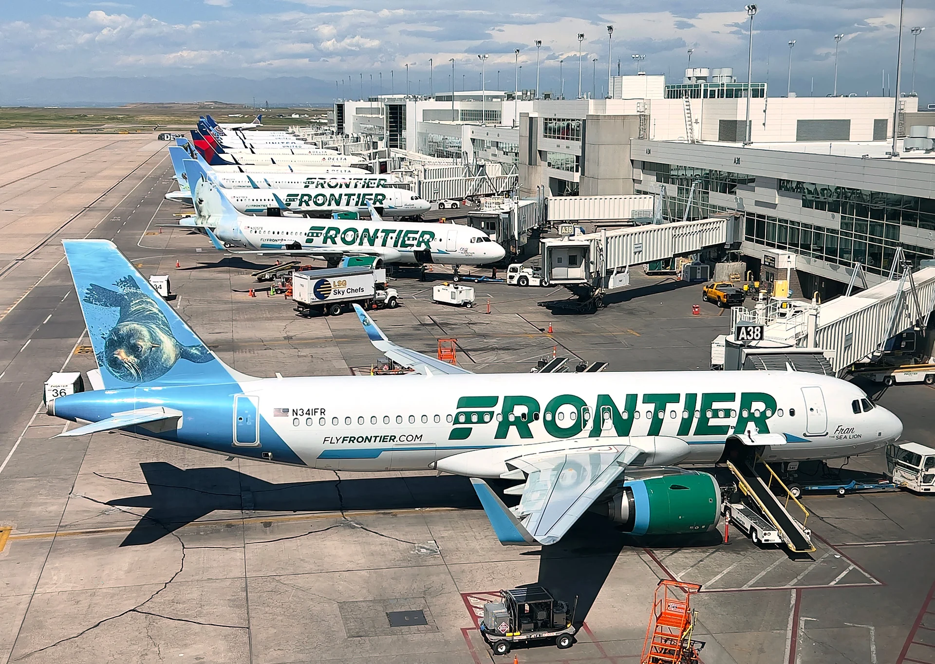 Frontier Airlines Destinations 2026: Full Route Map & Best Cities to Fly